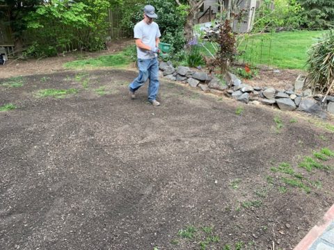 How To Care For A Newly Seeded Lawn Firstfruits Landscaping