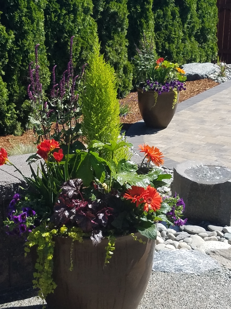 Edmonds Landscaper