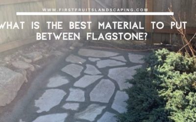 What is the Best Material to Put Between Flagstone