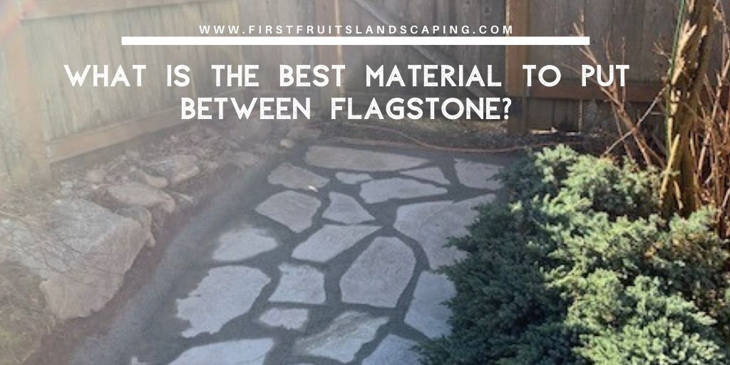 Best Material To Put Between Flagstone, How To Fill Gaps In Flagstone Patio