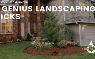10 Genius Landscaping Tricks