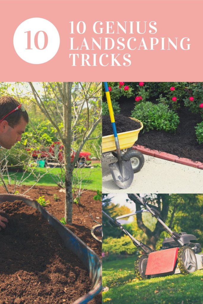 10 genuis landscaping tricks