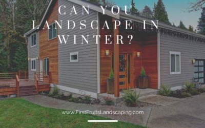 Can You Landscape in Winter?