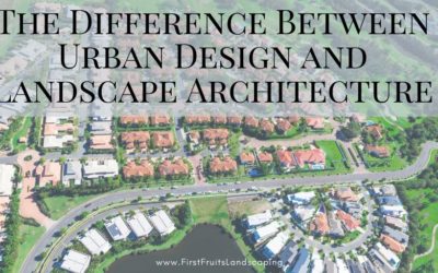 The Difference Between Urban Design and Landscape Architecture