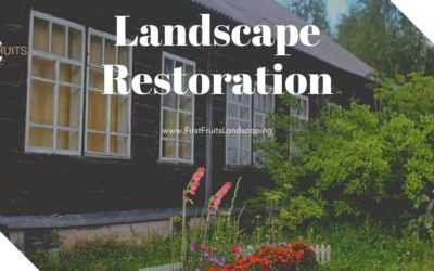 Landscape Restoration