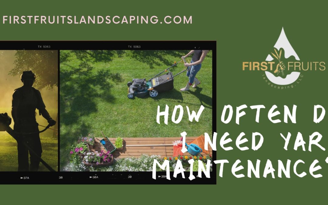How Often Do I Need Yard Maintenance?