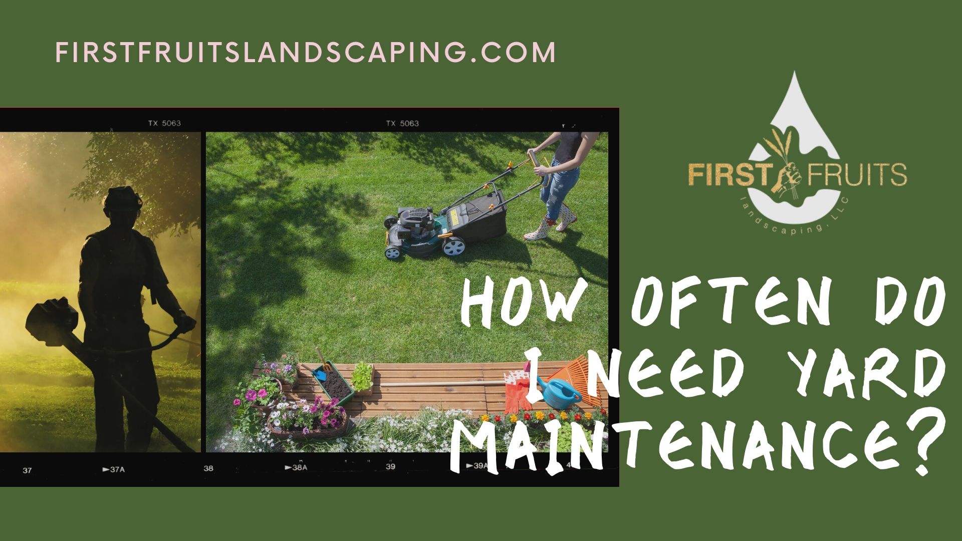 How to do on sale yard maintenance