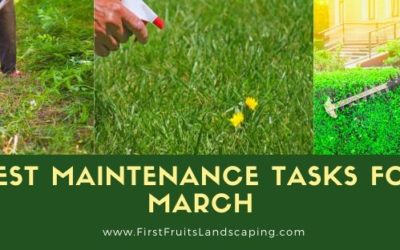 Best Maintenance Tasks for March