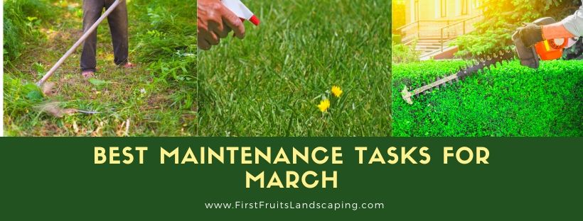 Best Maintenance Tasks for March