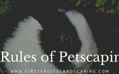 5 Great Rules of Petscaping