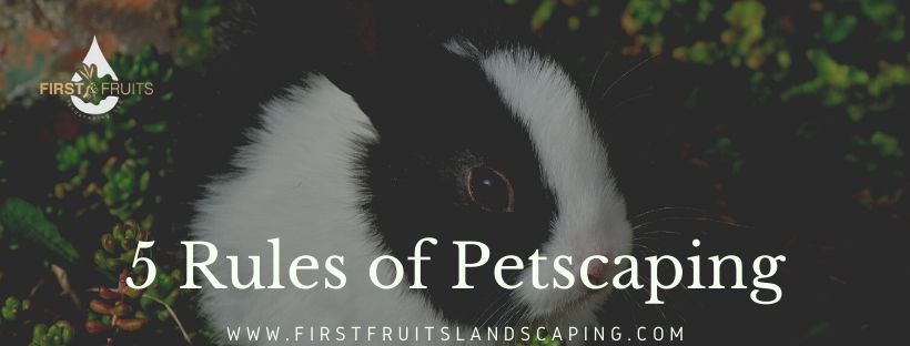 5 Rules of Petscaping