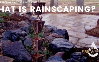 What is Rainscaping?