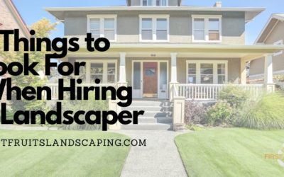 5 Things to Look For When Hiring a Landscaper