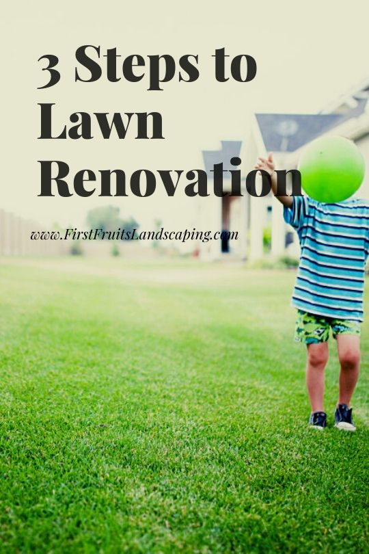 3 Steps to Lawn Renovation