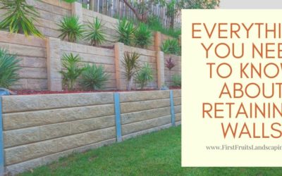 Everything You Need to Know About Retaining Walls