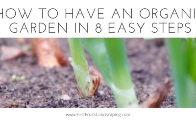 How to Have an Organic Garden in 8 Easy Steps