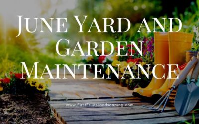 June Yard and Garden Maintenance