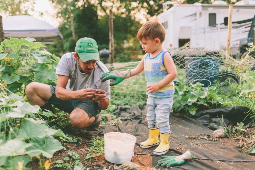 June Yard and Garden Maintenance