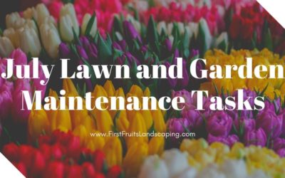 July Lawn and Garden Maintenance Tasks