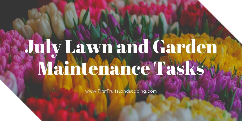 July Lawn and Garden Maintenance Tasks