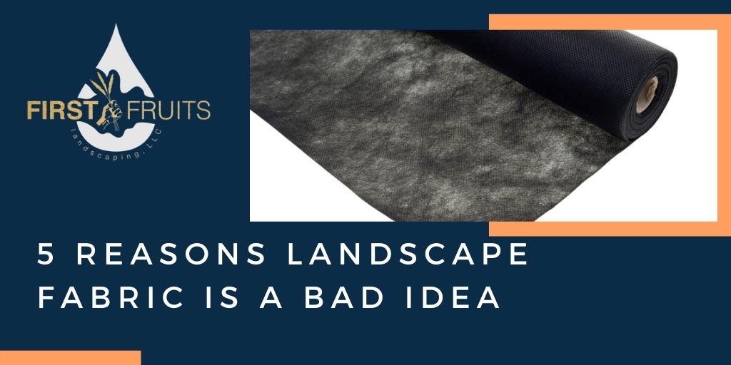 5 Reasons Landscape Fabric is a Bad Idea