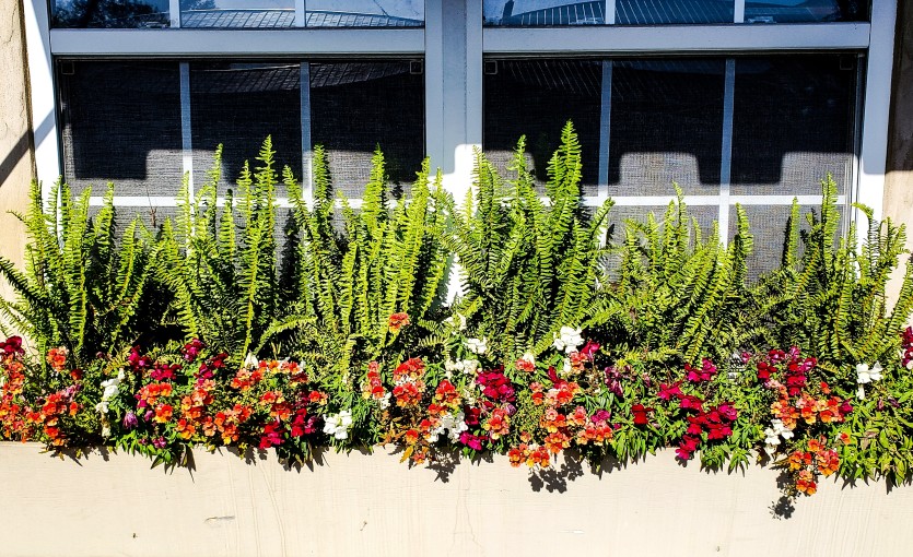 3 Tips on Adding a Window Garden to Your Home