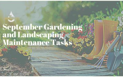 September Gardening and Landscaping Maintenance Tasks