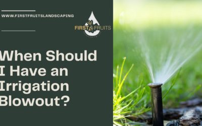When Should I Have an Irrigation Blowout?