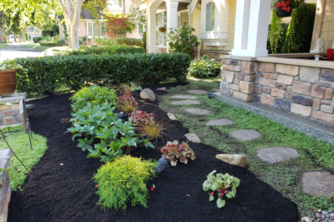 10 Questions to Ask When Hiring a Landscaper