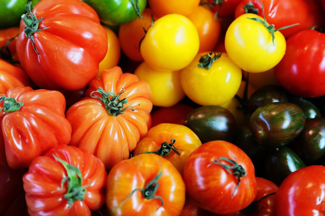 Time to Harvest! What to Do With all Those Veggies