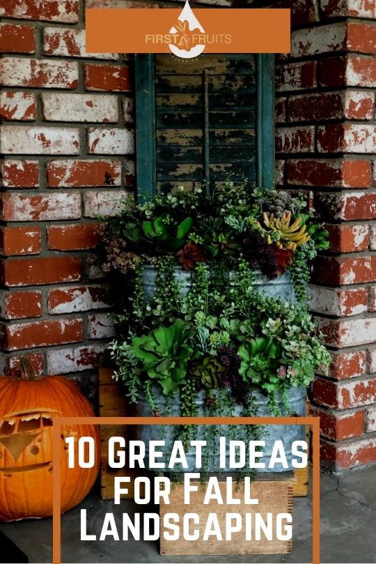 10 Great Ideas for Fall Landscaping