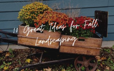 10 Great Ideas for Fall Landscaping