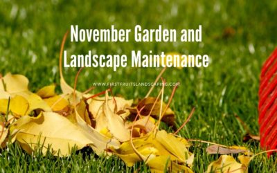 5 November Garden and Landscape Maintenance