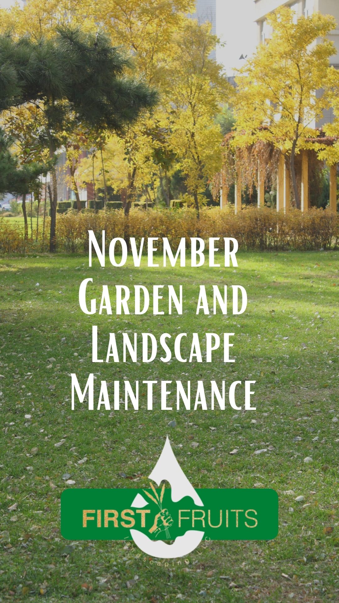 November Garden and Landscape Maintenance