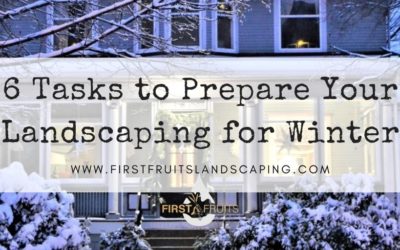 6 Tasks to Prepare Your Landscaping for Winter