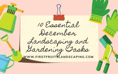 10 Essential December Landscaping and Gardening Tasks