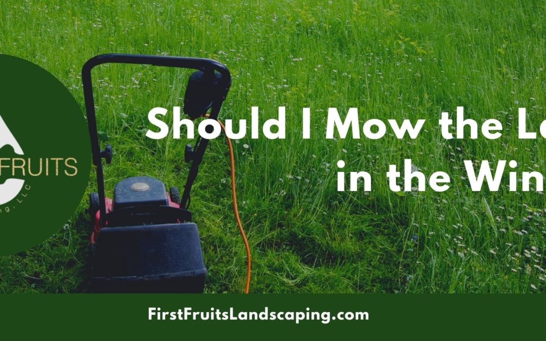 Should I Mow the Lawn in the Winter?