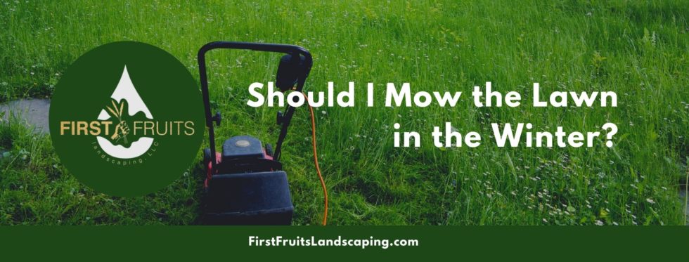 should-i-mow-the-lawn-in-the-winter-first-fruits-landscaping