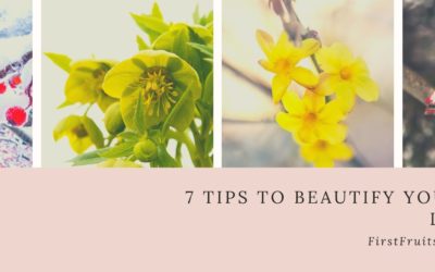 7 Tips to Beautify Your Winter Landscape