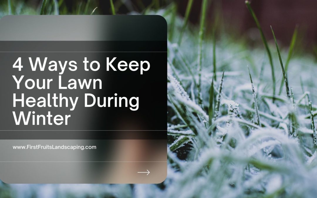 4 Ways to Keep Your Lawn Healthy During Winter
