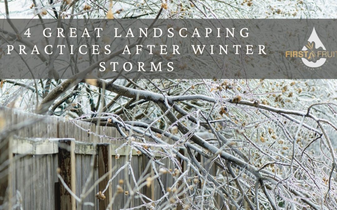 4 Great Landscaping Practices After Winter Storms