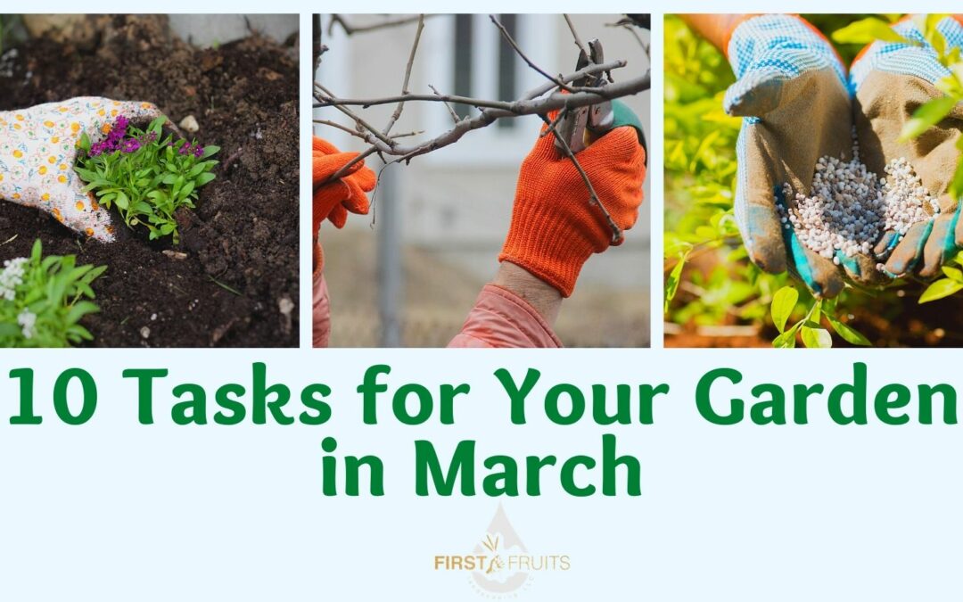 10 Useful Tasks for Your Garden in March