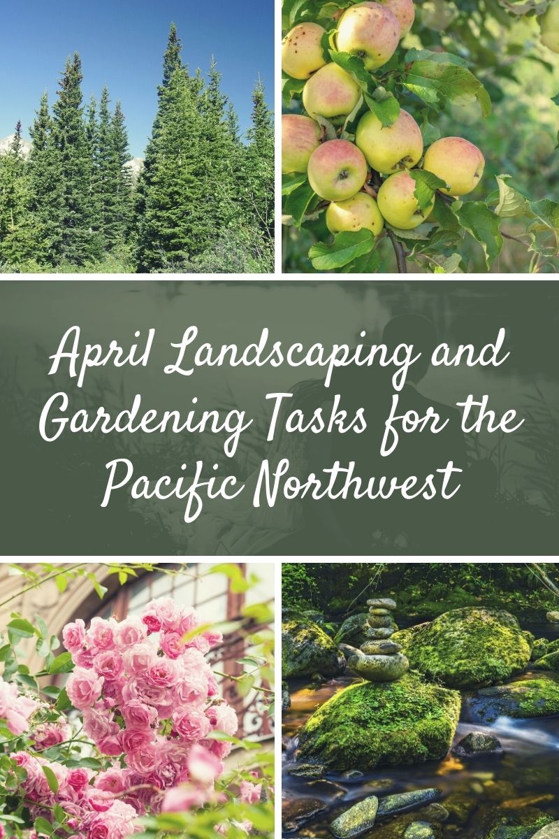 April Landscaping and Gardening Tasks for the Pacific Northwest