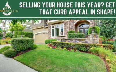 Selling Your House This Year? Get That Curb Appeal in Shape!