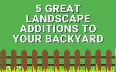 5 Great Landscape Additions to Your Backyard