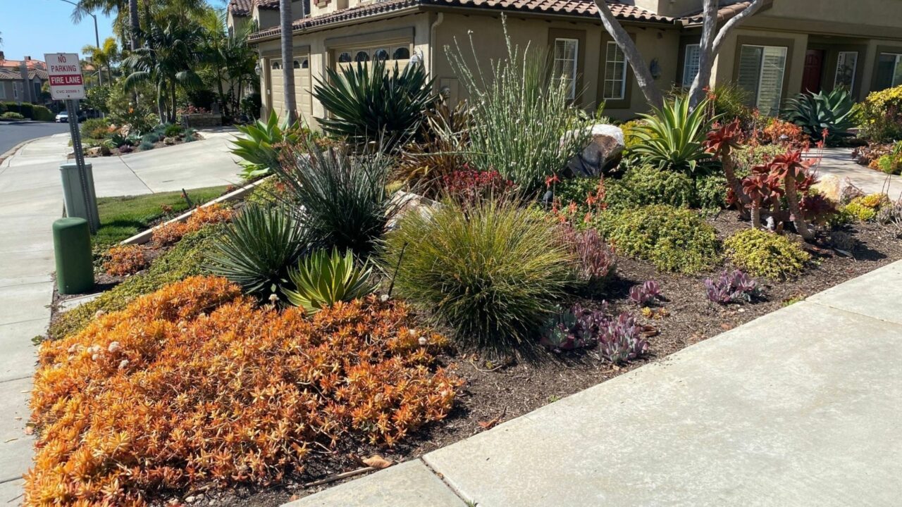 Landscape Design Ideas for Different Types of Yards