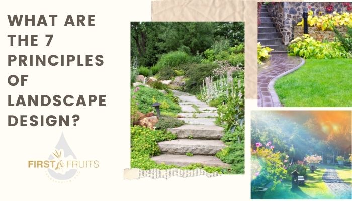 What are the 7 Principles of Landscape Design?