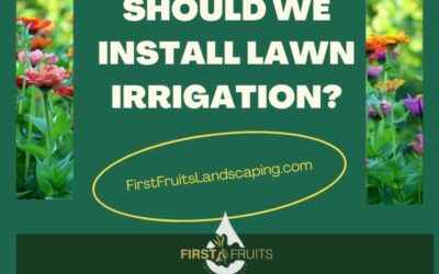 Should We Install Lawn Irrigation?