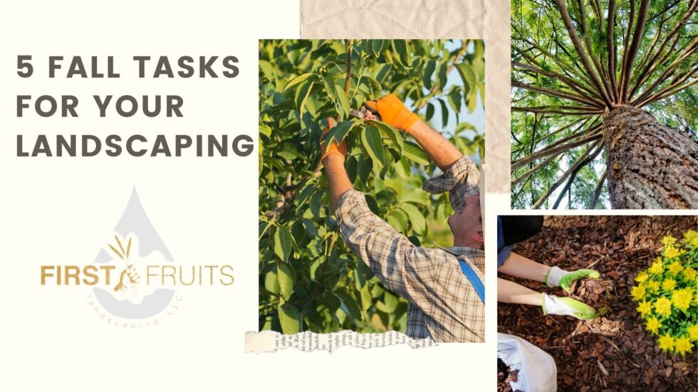 5 Fall Tasks for Your Landscaping FirstFruits Landscaping