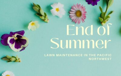 End of Summer Lawn Maintenance: What to do in September in the Pacific Northwest